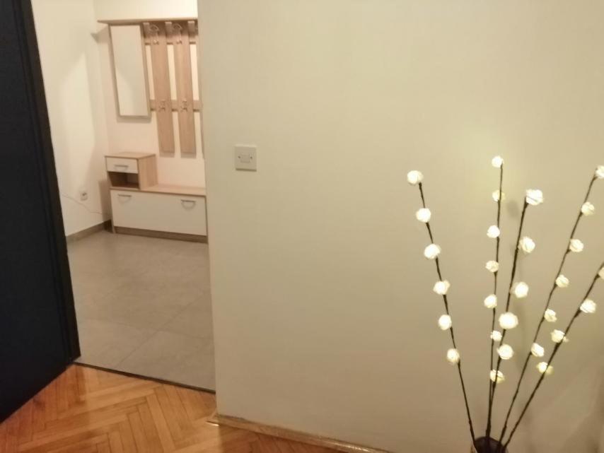 Apartman Sanja Pula Ngoại thất bức ảnh